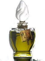 Dawn Spencer Hurwitz Pandor