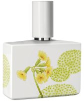 Humiecki & Graef Bosque