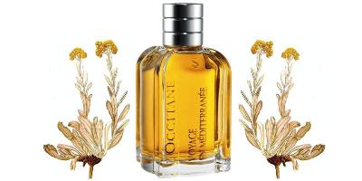 L'Occitane Immortelle de Corse