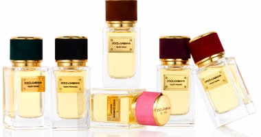 Dolce & Gabbana Velvet Collection