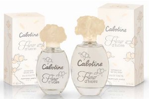 Gres Cabotine Fleur d'Ivoire