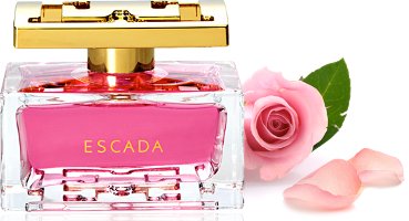 Especially Escada