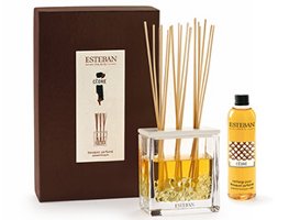 Esteban Cedre diffuser