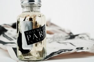 A Lab on Fire What We Do In Paris Is Secret