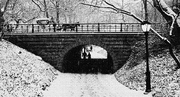 Snow in New York City