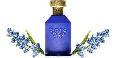 Bois 1920 Oltremare