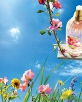 L'Occitane Rose des Champs 