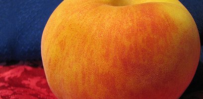 peach