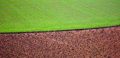 1/3 green, 2/3 brown