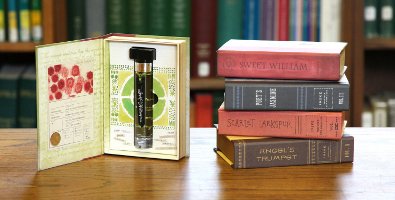 Ineke + Anthropologie Floral Curiosities travel sprays