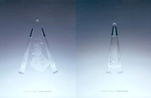 Issey Miyake L'Eau d'Issey double advert
