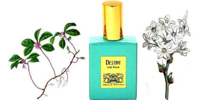 House of Matriarch Destiny