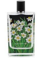 Nest Fragrances White Narcisse