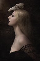 Roxana Illuminated Perfume Figure 1: Noir