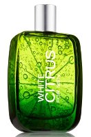 Bath & Body Works White Citrus for men