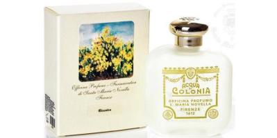 Santa Maria Novella Ginestra