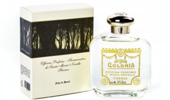 Santa Maria Novella Alba di Seoul