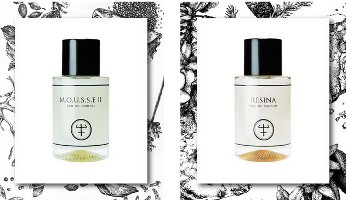 Oliver & Co Illustrated Series