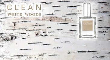 Clean White Woods banner