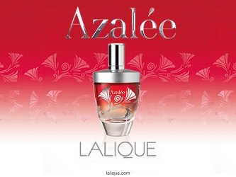 Lalique Azalée