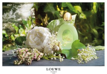 Loewe Aire Evasión