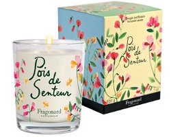 Fragonard Pois de Senteur candle