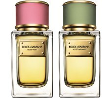 Dolce & Gabbana Velvet Rose & Velvet Bergamot