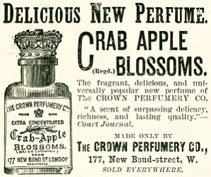 crown-advert