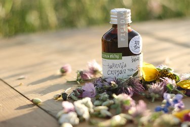 Juniper Ridge Topanga Canyon