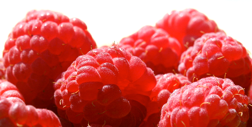 Raspberries