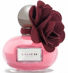 Coach Poppy Wild Flower