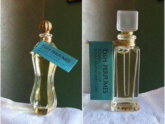 Dawn Spencer Hurwitz Scent of Hope