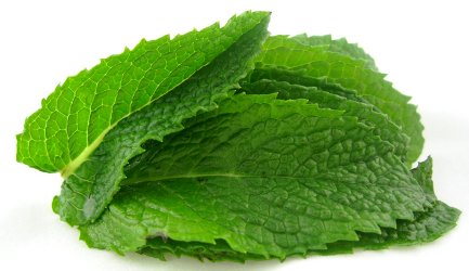 mint leaves
