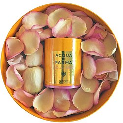 Acqua di Parma Rosa Nobile special edition
