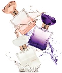 Flower Beauty Cherished, Radiant & Sultry