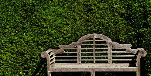 bench and hedge