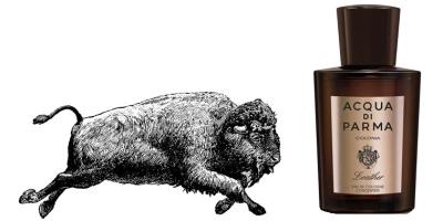 Buffalo + Acqua di Parma Colonia Leather