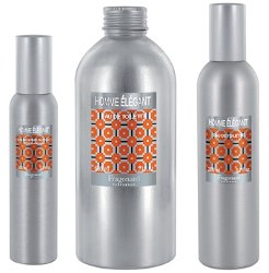 Fragonard Homme Élégant