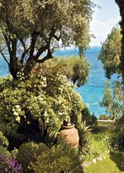 Profumum Tagete, brand image