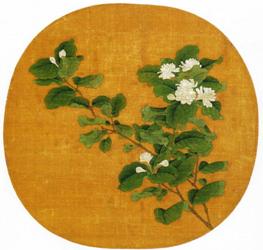 Branch of Flowering White Jasmine