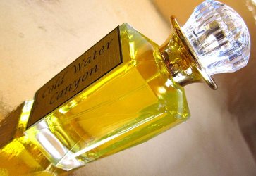 STC Coldwater Canyon