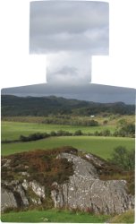 HYLNDS Bitter Rose, Broken Spear brand image