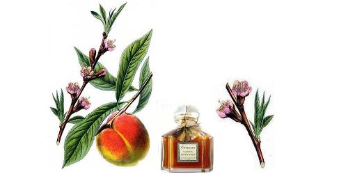 Guerlain Vague Souvenir + peach blossoms