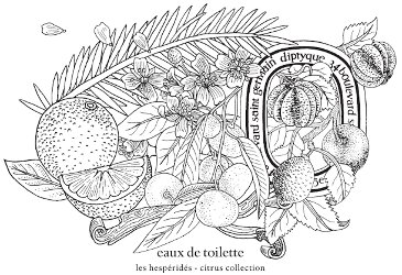 Diptyque citrus collection