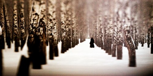 winter is going away