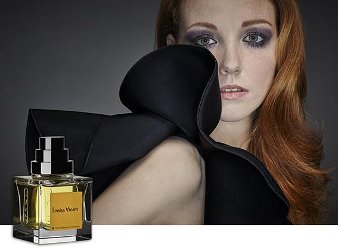 The Different Company I Miss Violet