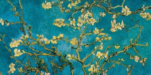 Almond blossom, Vincent van Gogh