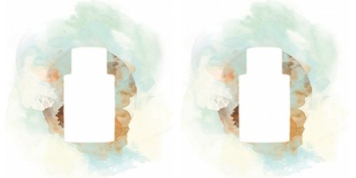 Malle Carnal Flower website drawing