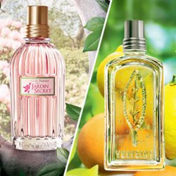 L'Occitane Roses et Reines Jardin Secret & Verveine Agrumes