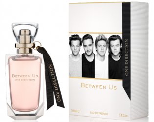 One Direction Between Us